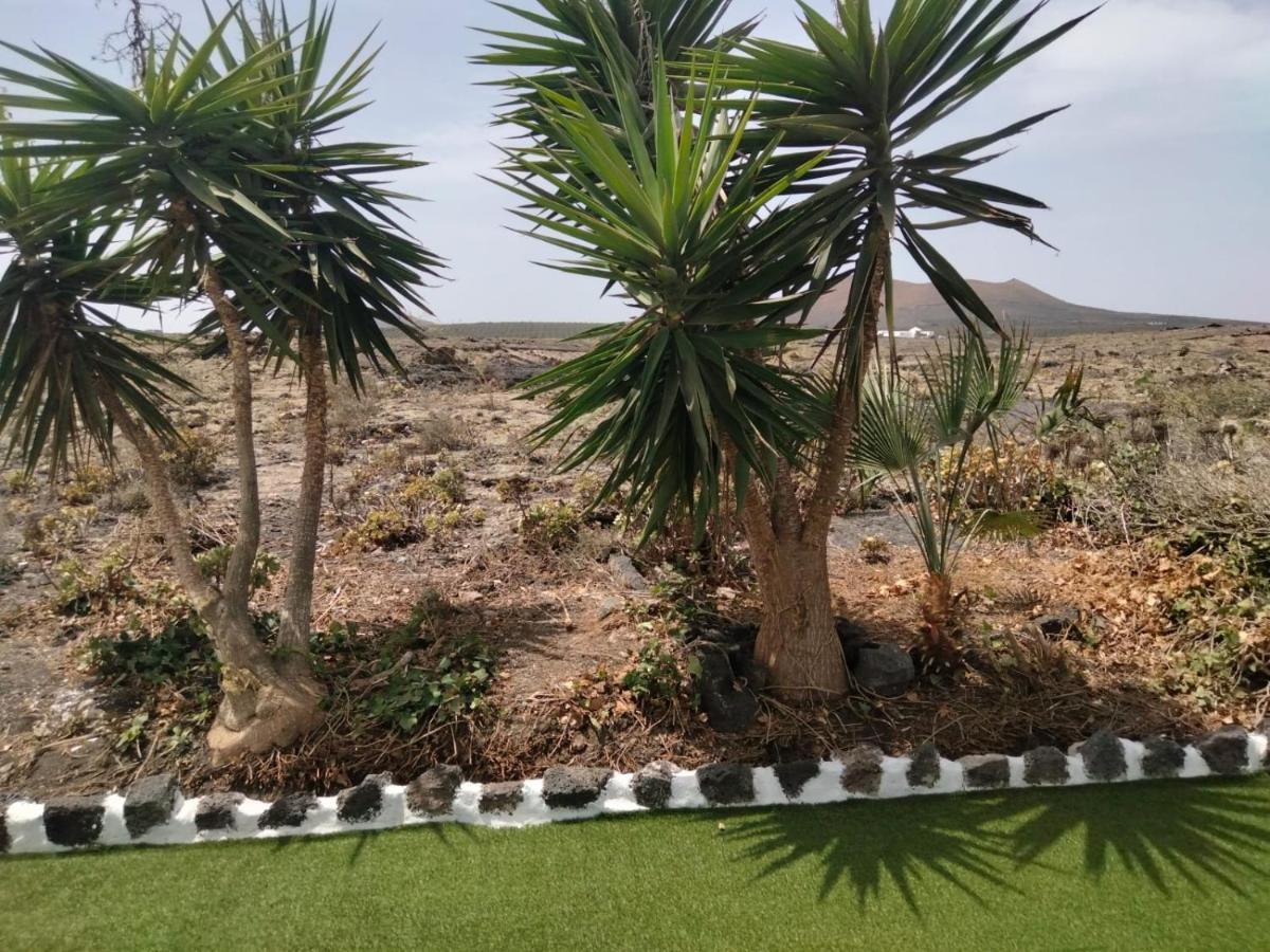 Lanzarote Casa Volcanica-Anclada Sobre La Lava Del Volcan Montana Blanca Екстериор снимка