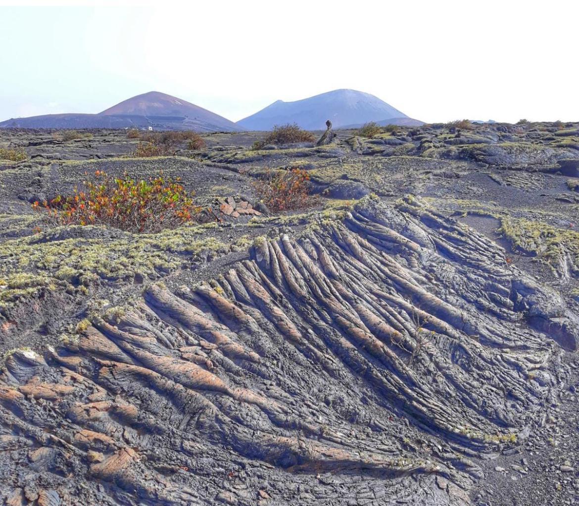 Lanzarote Casa Volcanica-Anclada Sobre La Lava Del Volcan Montana Blanca Екстериор снимка