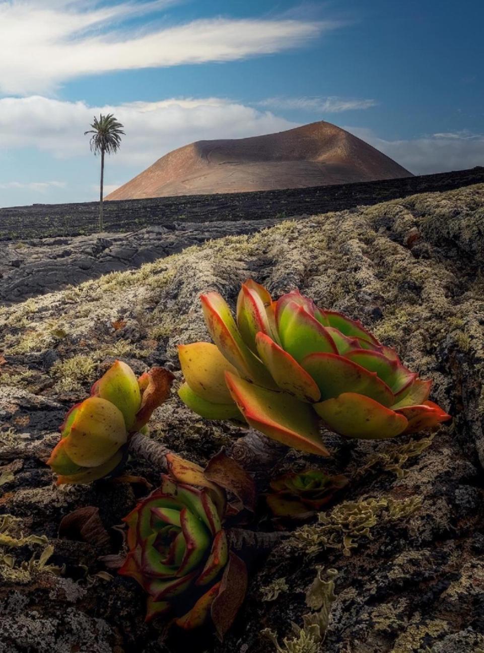 Lanzarote Casa Volcanica-Anclada Sobre La Lava Del Volcan Montana Blanca Екстериор снимка